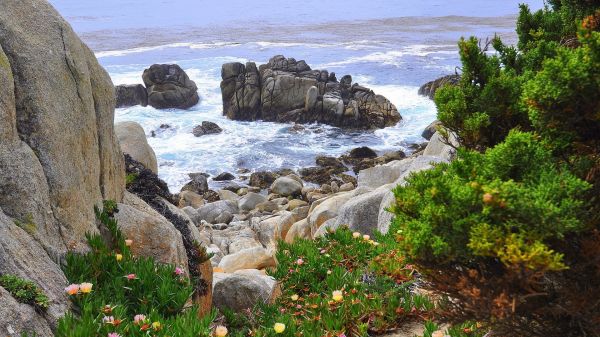 landscape, sea, bay, water, rock, nature