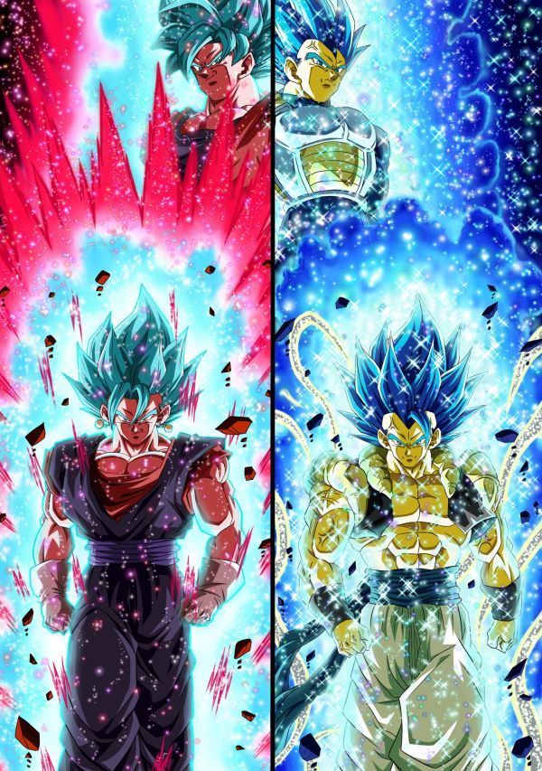 dračí koule,Dragon Ball Super,Son Goku,vegeta,Vegito,Gogeta