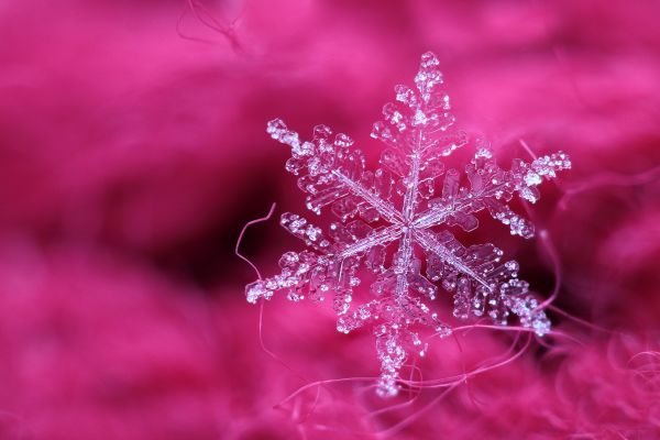 白,黒,水,自然,雪,冬