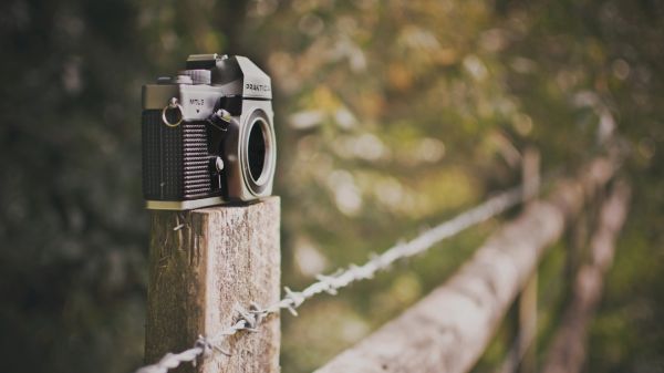 profondità di campo,filo spinato,verde,macchina fotografica,recinto,bokeh