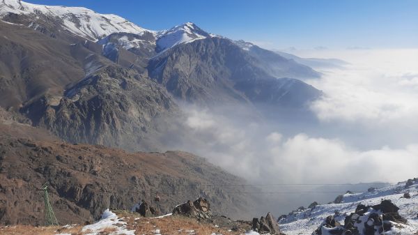 İran,doğa,Av kuşu,Güvercinler,Sözcükler Bahçesi,gündoğumu