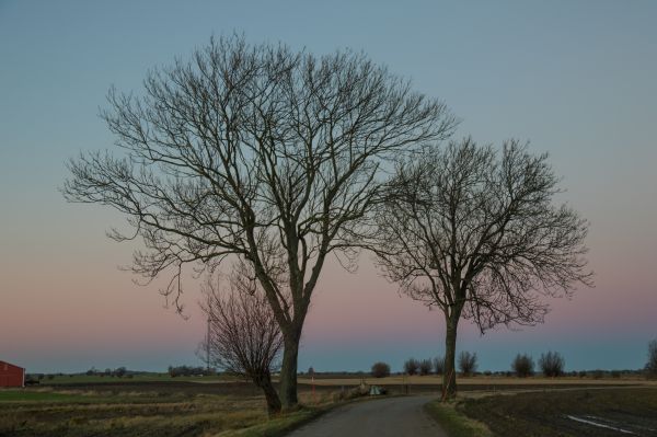 natură,iarbă,peisaj,apus de soare,deal,cer