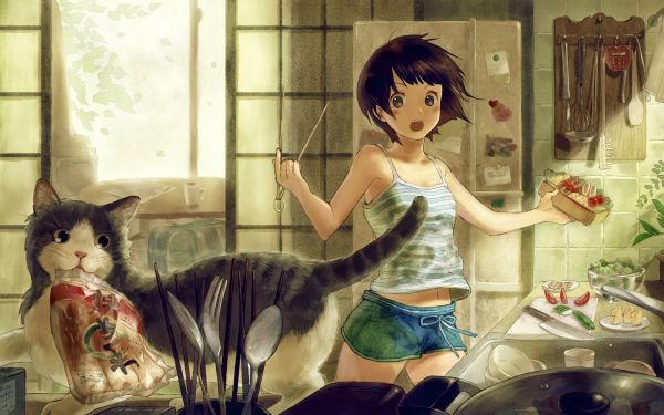 anime,anime girls,gatto,animali,guardare lontano,capelli corti