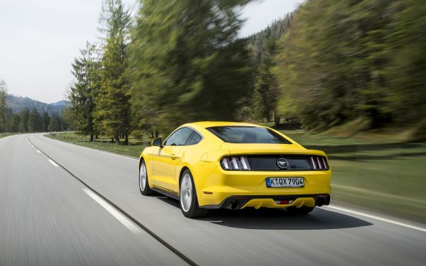 bil,kjøretøy,vei,muskelbiler,Ford Mustang GT,sportsbil