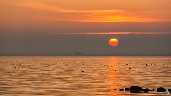 solnedgång,Sol,bracom,Zonsondergagn,zon,sjö