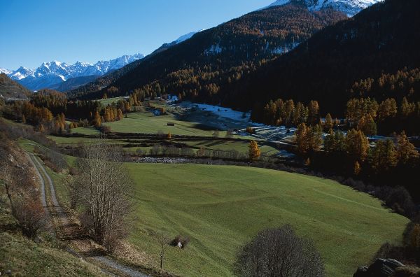 Árboles,paisaje,montañas,colina,lago,naturaleza