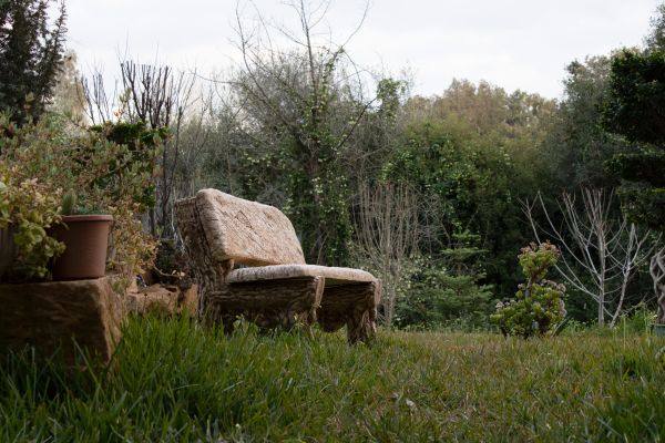 wooden furniture,grass