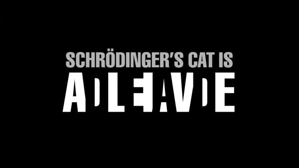 ข้อความ,โลโก้,วิทยาศาสตร์,ยี่ห้อ,แมว Schrodinger,Schrodinger