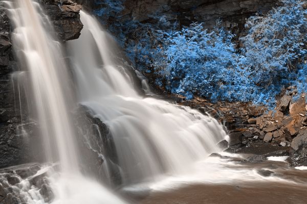 Voyage,parc,bleu,des arbres,hiver,Etats-Unis