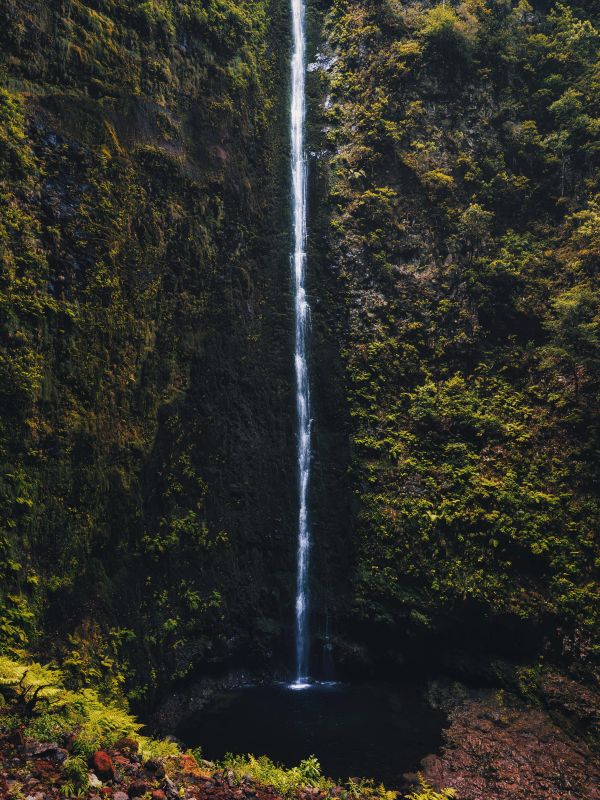 Caldeir o Verde,Madeira,şelale,doğa,Portre ekranı,Manzara