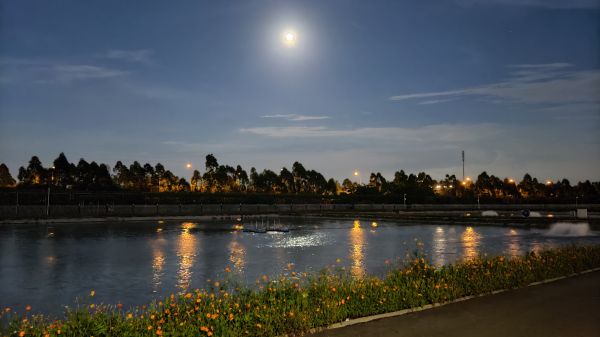 water,sky,plant,water resources,cloud,daytime