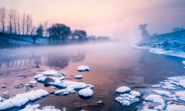 Baumstamm,Nebel,Schnee,Wasser,Wolke neun,überwuchert