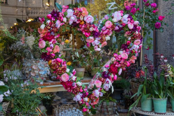 kärlek,hjärta,blommor,trädgård,blomma,växt