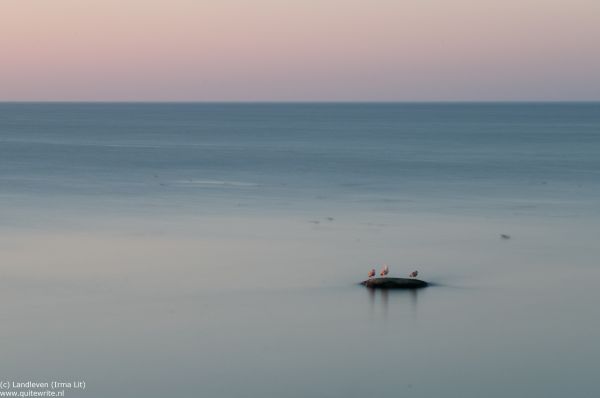 laut, teluk, air, pantai, pasir, refleksi