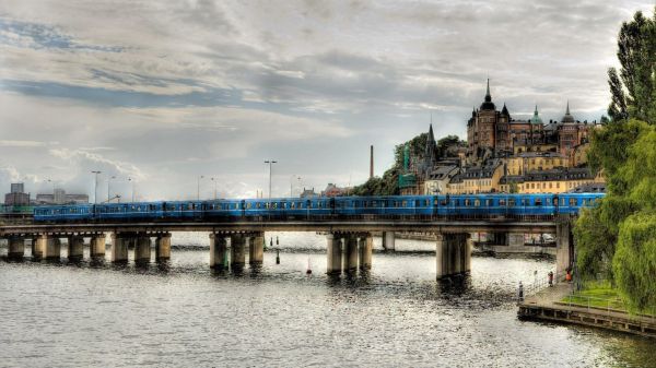 Árvores, mar, cidade, Paisagem urbana, arquitetura, agua