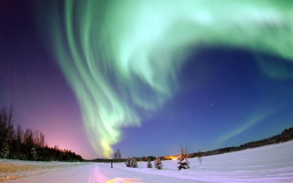 Polarlys,himmel,stjerner,Nordpolen,vinter