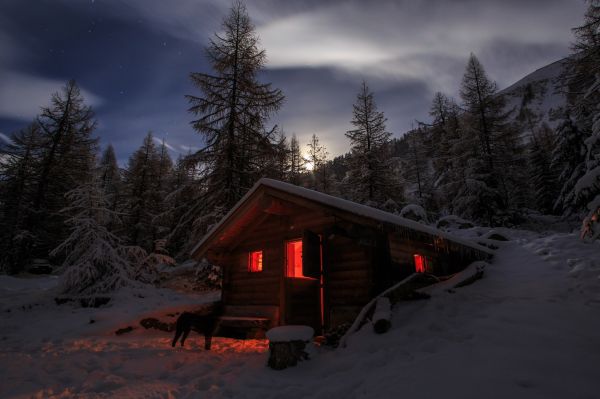 景观, 山, 晚, 性质, 森林, 雪