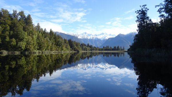 pohon,pemandangan,danau,air,alam,refleksi