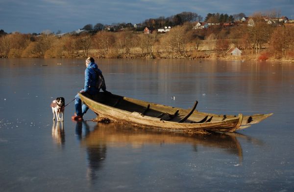 drzewa, krajobraz, łódź, stary, morze, jezioro