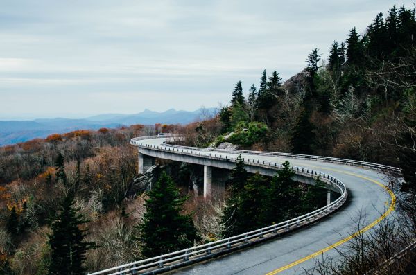 trees,landscape,road,bridge,river,USA