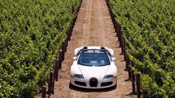 Bugatti Veyron,route,herbe,des voitures,élégant