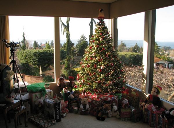 Christmas Tree,gifts,toys,home,glass,holiday