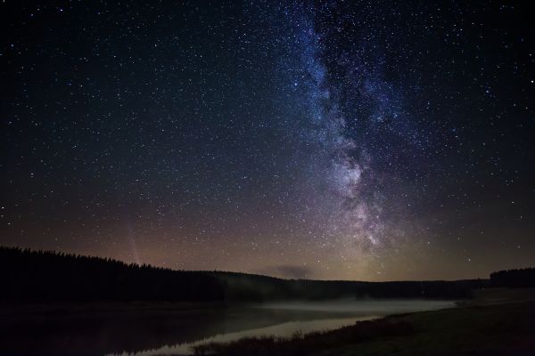 noc,Kánon,Německo,hvězdy,mlha,les