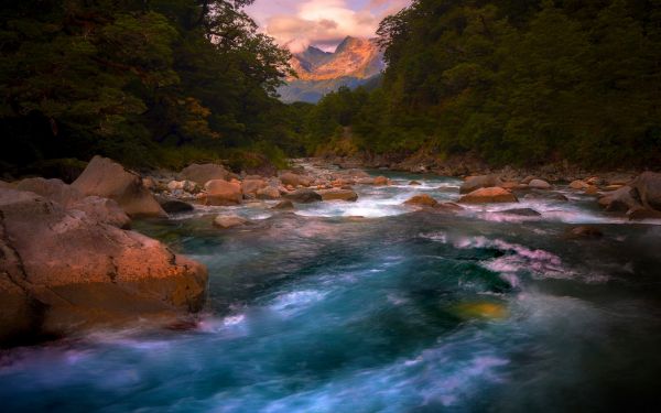 木,風景,山々,滝,日没,水