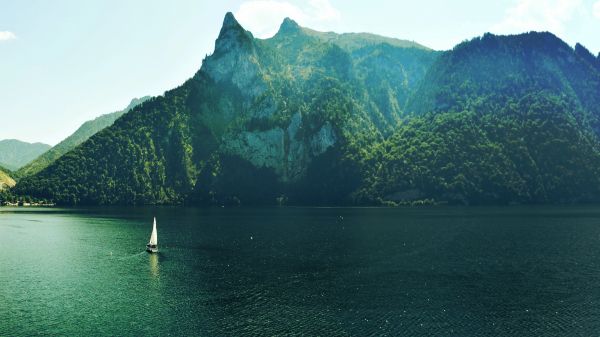 trees, mountains, hill, boat, sea, bay