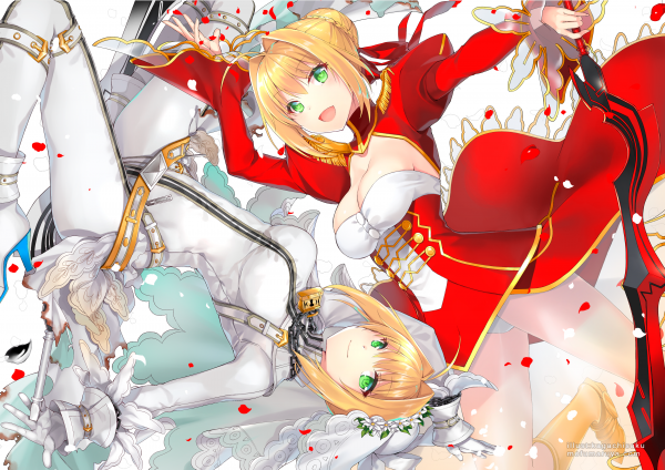 аниме,Аниме девушки,Серия Fate,Fate Extra,Fate Extra CCC,Судебная практика