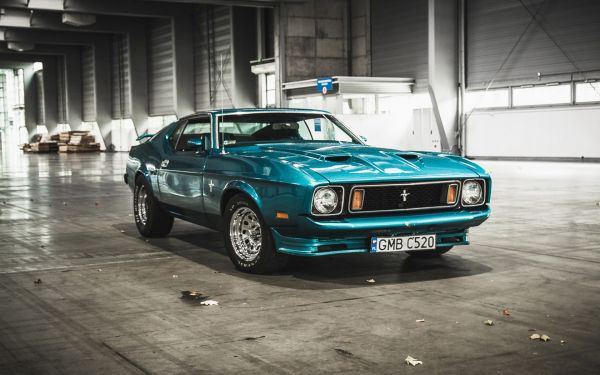 voiture,véhicule,voiture de sport,Gué,Voiture classique,hangar