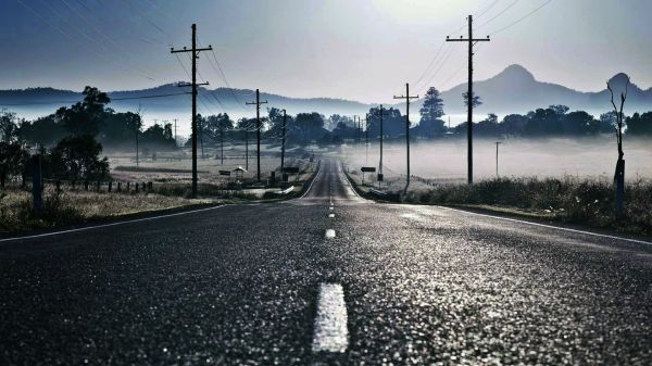 landscape,trees,street light,road,evening,morning