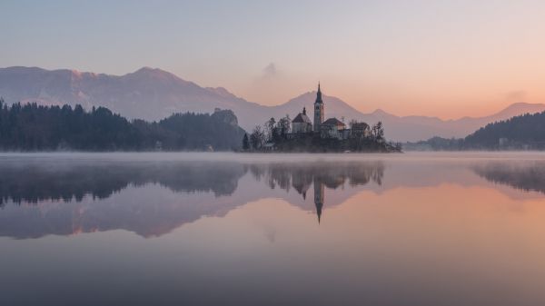 современное,старое здание,Рассвет,Сумерки,Туман,лес