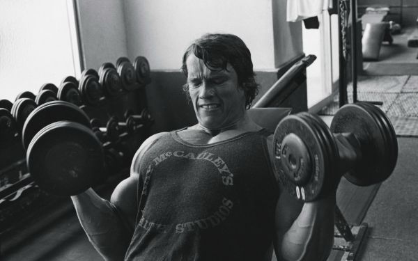 Đơn sắc,Arnold Schwarzenegger,phòng,Thể hình,kết cấu,Chuồn chuồn