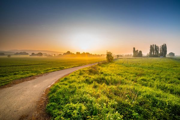 sunlight,landscape,sunset,hill,grass,sky