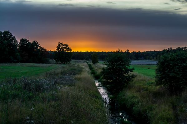 puesta de sol,nube,campo,otoño,Sol,Sol