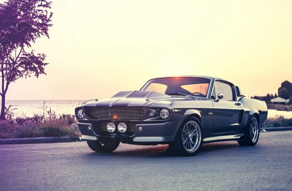 car,vehicle,sports car,Ford,classic car,Shelby