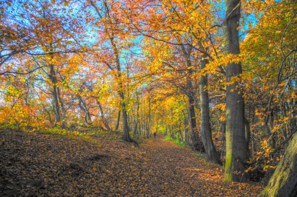 autumn,light,colour,beautiful,clouds,fall