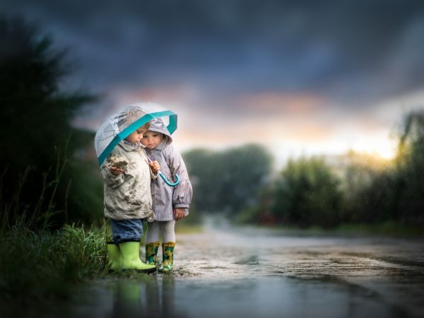 luz de sol,naturaleza,reflexión,lluvia,paraguas,Mañana