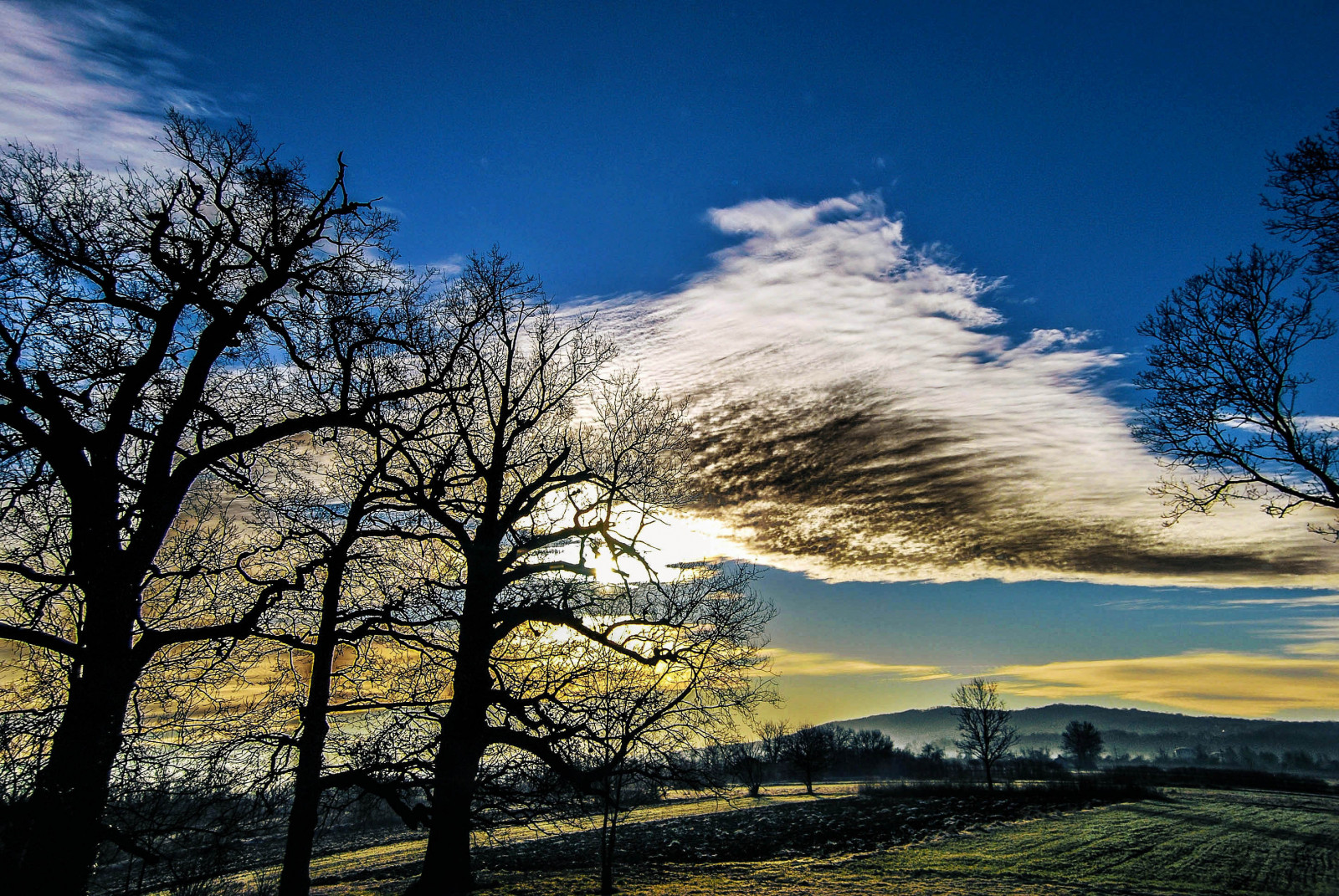 reizen, bomen, schaduw, hemel, Zon, KUNST, structuur, kleuren, wolken, landschap, Rijden, Nikon, flickr, Servië, onderzoeken, nikkor, caffe, Artland, lightroom, twop, Srbija, minder is meer, thruglass, themagichour, Lazarevac, 365dayproject, artristic, 365daysart, naturesoul