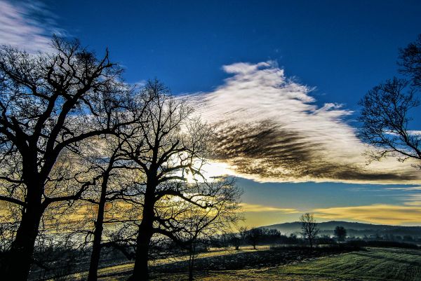 træer, skygge, himmel, Sol, KUNST, rejse