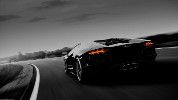 Monochrome,voiture,véhicule,Lamborghini,Lamborghini Aventador,Lamborghini Miura