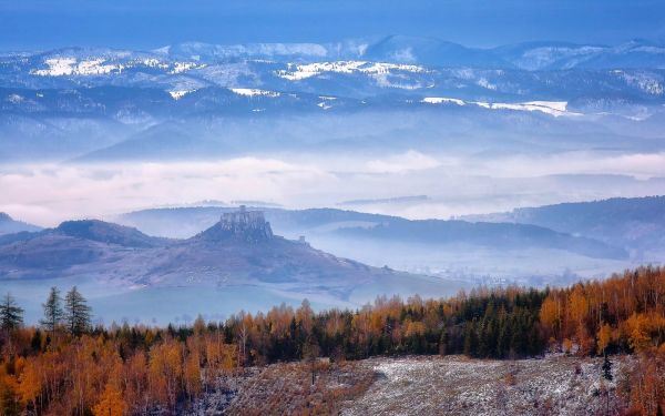 des arbres, paysage, forêt, Montagnes, colline, tomber