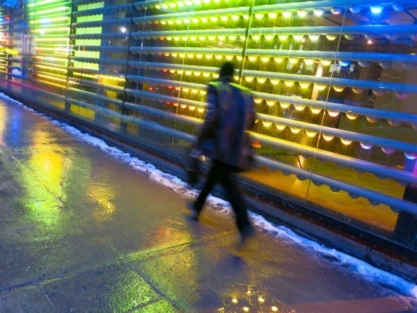 luces, ciudad, calle, urbano, noche, agua