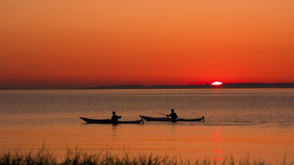 landskap,båt,solnedgang,hav,bukt,vann