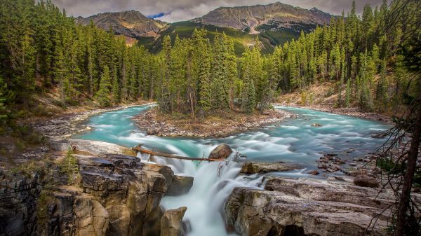 nature,landscape,trees,forest,water,rocks