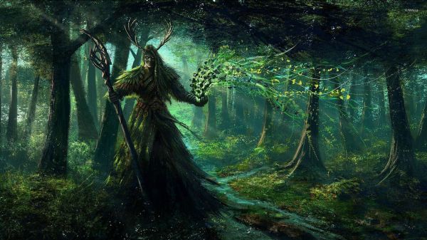 sunlight, trees, forest, digital art, fantasy art, dark