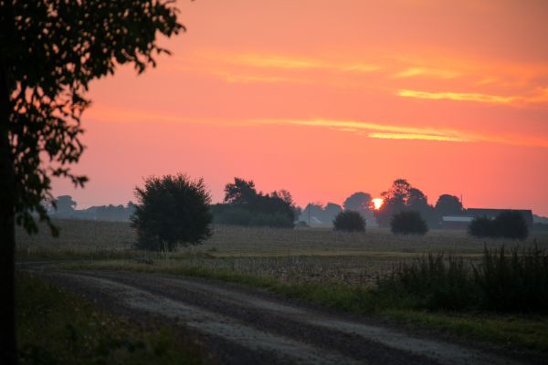 paesaggio, tramonto, collina, natura, cielo, campo