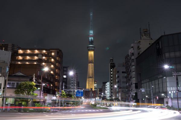 japan,stad,gata,stadsbild,natt,väg