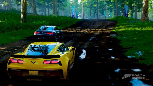 Forza Horizon 4,verzadiging,auto,groen